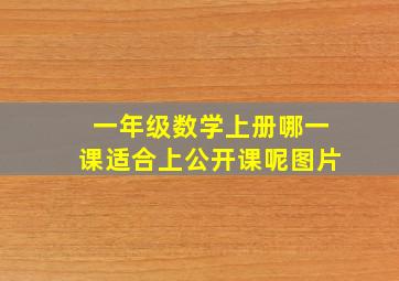 一年级数学上册哪一课适合上公开课呢图片