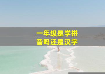 一年级是学拼音吗还是汉字