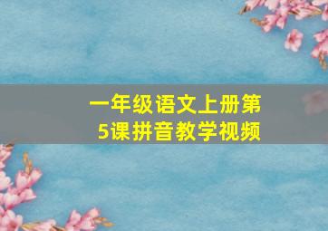 一年级语文上册第5课拼音教学视频