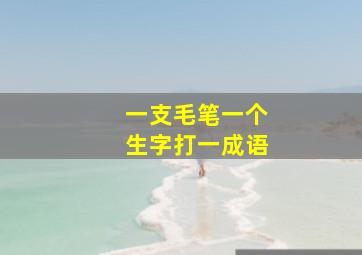 一支毛笔一个生字打一成语