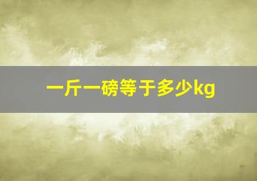 一斤一磅等于多少kg