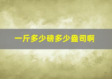 一斤多少磅多少盎司啊