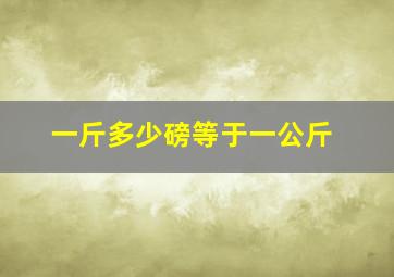 一斤多少磅等于一公斤