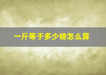 一斤等于多少磅怎么算