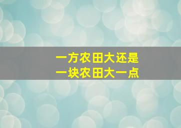 一方农田大还是一块农田大一点