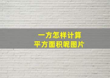 一方怎样计算平方面积呢图片