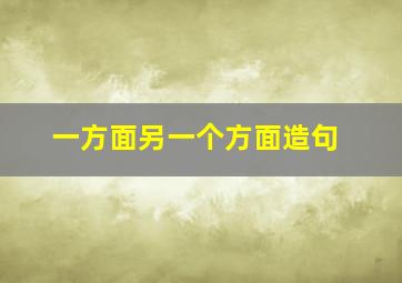 一方面另一个方面造句