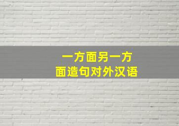 一方面另一方面造句对外汉语