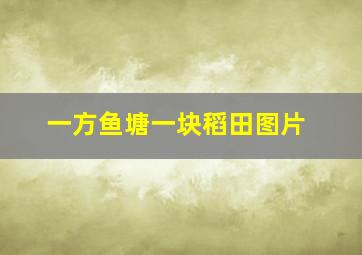 一方鱼塘一块稻田图片