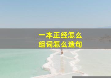 一本正经怎么组词怎么造句