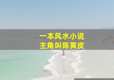 一本风水小说主角叫陈黄皮