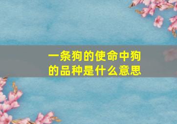 一条狗的使命中狗的品种是什么意思