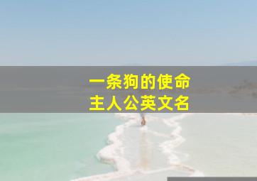 一条狗的使命主人公英文名