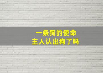 一条狗的使命主人认出狗了吗