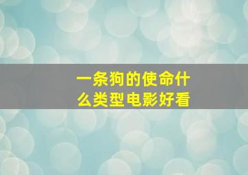 一条狗的使命什么类型电影好看