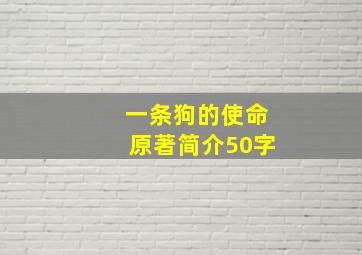 一条狗的使命原著简介50字