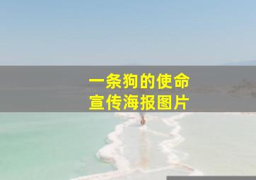 一条狗的使命宣传海报图片