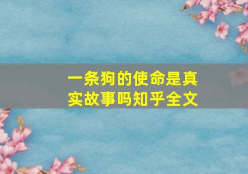 一条狗的使命是真实故事吗知乎全文