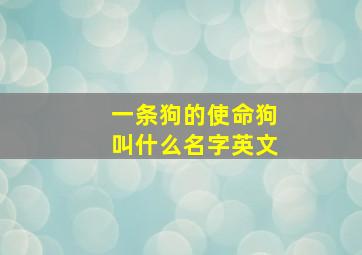 一条狗的使命狗叫什么名字英文