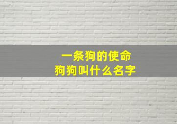 一条狗的使命狗狗叫什么名字