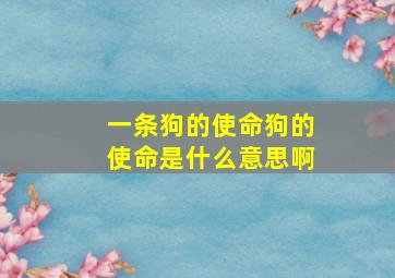 一条狗的使命狗的使命是什么意思啊