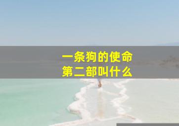 一条狗的使命第二部叫什么