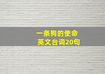 一条狗的使命英文台词20句