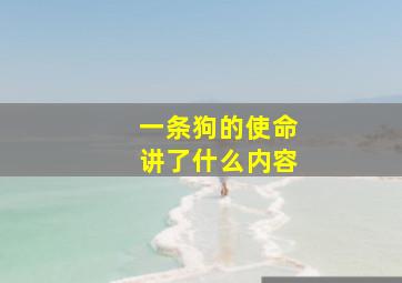 一条狗的使命讲了什么内容