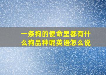 一条狗的使命里都有什么狗品种呢英语怎么说