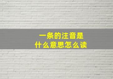 一条的注音是什么意思怎么读