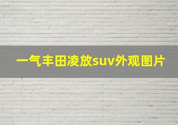 一气丰田凌放suv外观图片