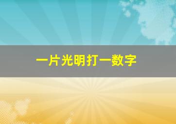 一片光明打一数字