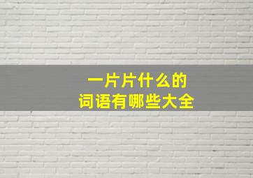 一片片什么的词语有哪些大全