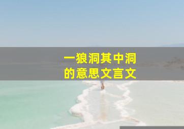 一狼洞其中洞的意思文言文