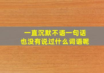 一直沉默不语一句话也没有说过什么词语呢