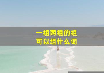 一组两组的组可以组什么词