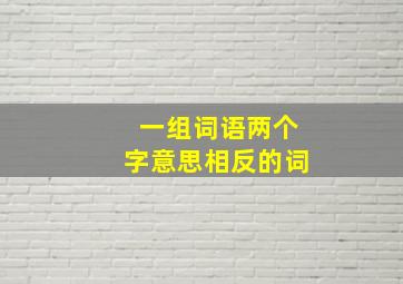 一组词语两个字意思相反的词