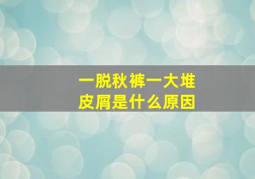 一脱秋裤一大堆皮屑是什么原因