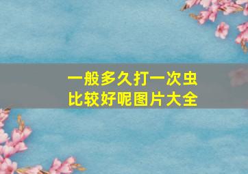 一般多久打一次虫比较好呢图片大全