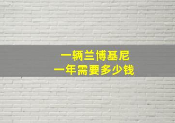 一辆兰博基尼一年需要多少钱