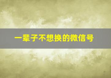 一辈子不想换的微信号