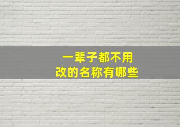 一辈子都不用改的名称有哪些