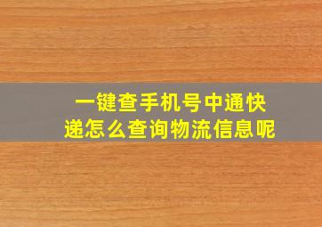 一键查手机号中通快递怎么查询物流信息呢