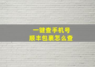 一键查手机号顺丰包裹怎么查