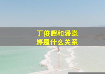 丁俊晖和潘晓婷是什么关系