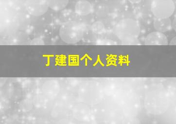 丁建国个人资料