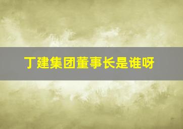 丁建集团董事长是谁呀