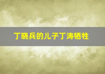 丁晓兵的儿子丁涛牺牲