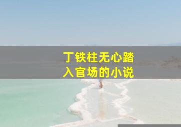 丁铁柱无心踏入官场的小说