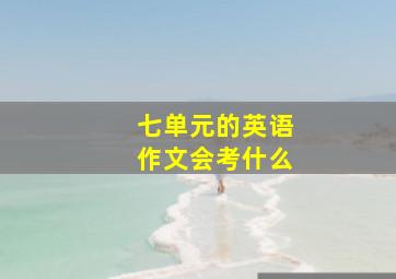 七单元的英语作文会考什么